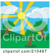 Poster, Art Print Of Summer Sun Shining Down On A Hilly Park With Trees