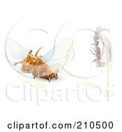 Poster, Art Print Of Scary Orange Monster Fly Flying Away From A Cocoon