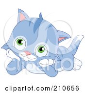 Cute Blue Striped Kitten Laying On His Tummy And Resting His Cheeks In His Paws
