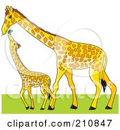Royalty Free RF Clipart Illustration Of A Tall Mother Giraffe Holding A Branch To Feed Her Baby by Maria Bell
