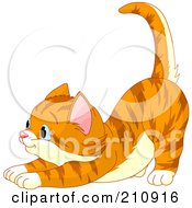 Poster, Art Print Of Cute Striped Ginger Cat Stretching And Facing Left