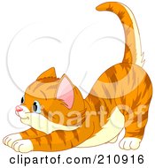 Royalty Free RF Clipart Illustration Of A Cute Striped Ginger Cat Stretching And Facing Left