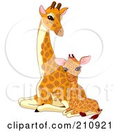 Royalty Free RF Clipart Illustration Of A Cute Baby Giraffe Sitting Beside Its Mother by Pushkin