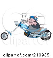 Poster, Art Print Of Tough Hog Riding A Blue Chopper Motorcycle And Speeding Past