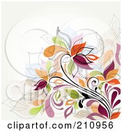 Poster, Art Print Of Colorful Flower Vine Over White