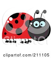 Poster, Art Print Of Smiling Happy Red Ladybug