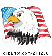 Poster, Art Print Of Profiled American Bald Eagle Head Over A Flag