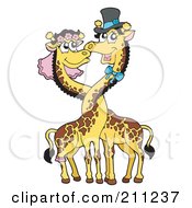Poster, Art Print Of Happy Giraffe Wedding Couple With Their Necks Entwined