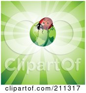 Poster, Art Print Of Ladybug On A Green Globe Over A Shining Background