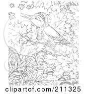 Royalty Free RF Clipart Illustration Of A Coloring Page Outline Of A Winter Bird In A Tree
