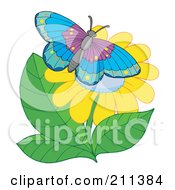 Poster, Art Print Of Butterfly Resting On A Yellow Flower