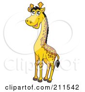 Poster, Art Print Of Cute Tall Giraffe
