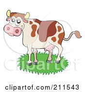 Poster, Art Print Of Happy Dairy Cow In Grass