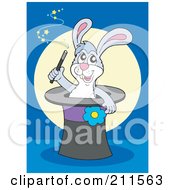Poster, Art Print Of Magician Rabbit In A Hat