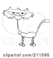 Poster, Art Print Of Scrawny Outlined Cat