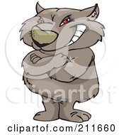 Grinning Red Eyed Wombat Standing Upright With His Arms Crossed