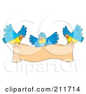 Poster, Art Print Of Three Blue And Yellow Birds Carrying A Blank Scroll Banner