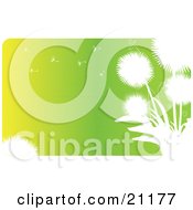 Clipart Illustration Of A Green And Yellow Gradient Background With White Dandelion Seedhead Flowers