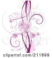 Purple Floral Vine With Blossoms And Tendrils Over White