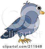 Poster, Art Print Of Profile Of A Blue Bird
