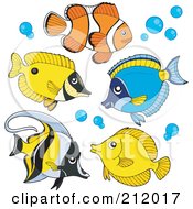 Poster, Art Print Of Digital Collage Of Saltwater Fish