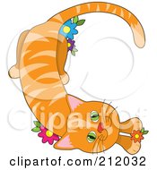 Striped Orange Cat In The Shape Of The Letter C