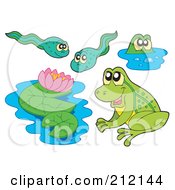 Digital Collage Of Frogs Lily Pads And Tadpoles