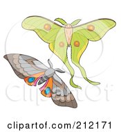 Royalty Free RF Clipart Illustration Of A Digital Collage Of Two Elegant Moths by visekart
