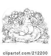 Poster, Art Print Of Coloring Page Outline Of A Hen Nesting