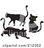 Poster, Art Print Of Digital Collage Of Three Green Eyed Black Cats