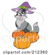 Halloween Cat Wearing A Witch Hat And Sitting By Pumpkins
