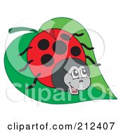 Royalty Free RF Clipart Illustration Of A Happy Ladybug On A Green Leaf