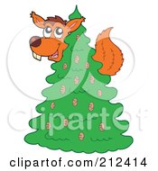 Poster, Art Print Of Squirrel In An Evergreen Tree