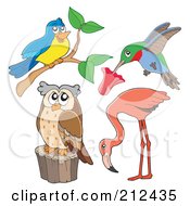 Poster, Art Print Of Digital Collage Of A Bird Hummingbird Flamingo And Owl