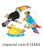 Poster, Art Print Of Digital Collage Of A Toucan Parrot And Duck