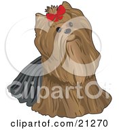 Clipart Illustration Of A Cute Pampered Long Haired Yorkshire Terrier Dog Looking Up And Wearing A Red Bow