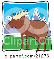 Poster, Art Print Of Large Moose With Big Antlers In A Green Pasture Near Snow Covered Mountains