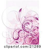 Background Of Pink Vines And Floral Scrolls In Different Pink Tones