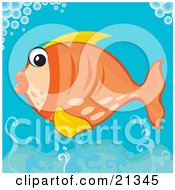 Poster, Art Print Of Surprised Orange Fish With Yellow Fins Swimming Under Bubbles In The Ocean