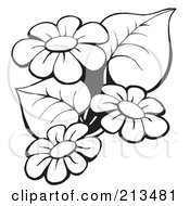 Poster, Art Print Of Outline Of Black And White Flowers