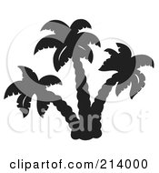 Poster, Art Print Of Black And White Palm Tree Design