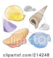 Digital Collage Of Sea Shells