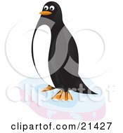 Poster, Art Print Of Happy Black And White Penguin Resting On A Block Of Floating Ice In The Arctic