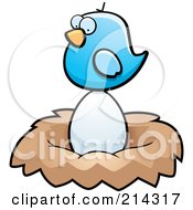 Tiny Blue Bird Sitting On A Large Egg In A Nest