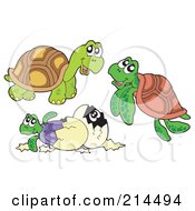 Royalty Free RF Clipart Illustration Of A Digital Collage Of Turtles