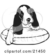 Poster, Art Print Of Adorable Basset Hound Puppy Dog With Long Ears Sitting On A Dog Bed And Tilting His Head Curiously