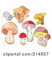Royalty Free RF Clipart Illustration Of A Digital Collage Of Mushrooms