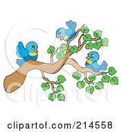 Tree Branch With Leaves And Birds