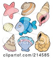 Poster, Art Print Of Digital Collage Of Fish And Shells