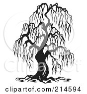 Poster, Art Print Of Black And White Bare Willow Tree Design